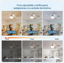 PRECIO OFERTA🤑VENTILADOR 2 EN 1😎CON BOMBILLA AHORRADORA🔋