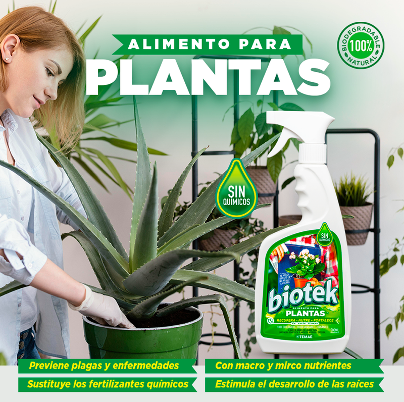 😍2 X 1😮EL SECRETO PARA UNAS PLANTAS HERMOSAS🌻EN 500ML☘️