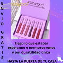 😍LIPGLOSS SET DE LABIALES💄X 6 UNIDADES BELLEZA QUE DURA TODO EL DIA💃